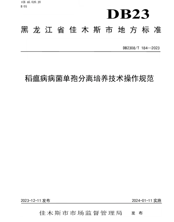 DB2308T 184-2023 稻瘟病病菌单孢分离培养技术操作规范