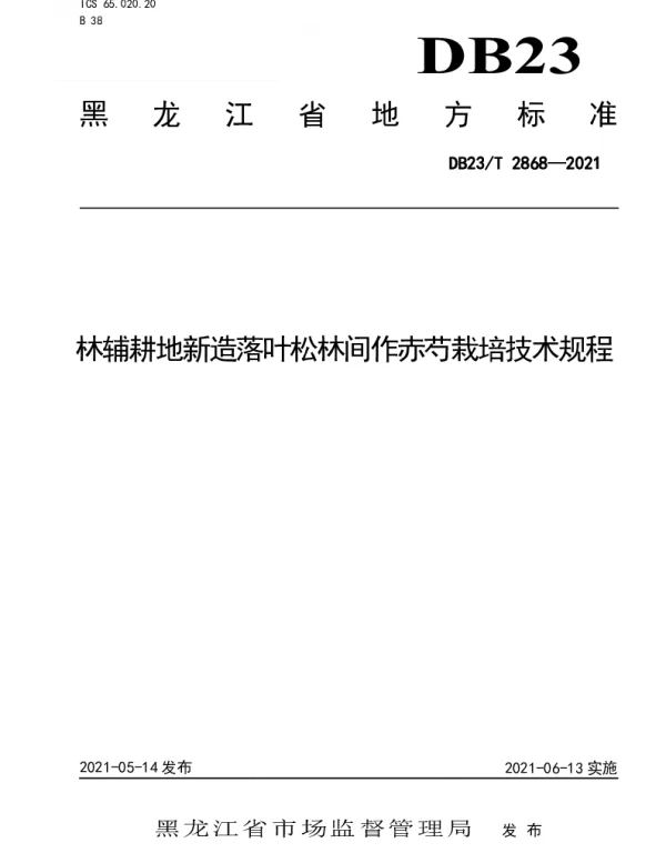 DB23T 2868—2021 林辅耕地新造落叶松林间作赤芍栽培技术规程
