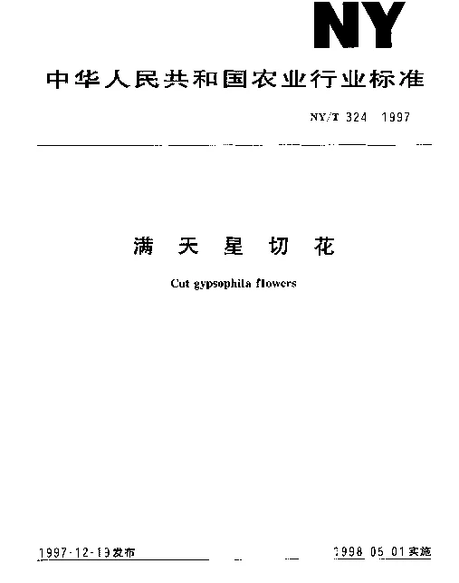 NYT 324-1997 满天星切花
