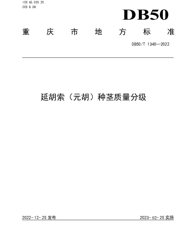 DB50T 1340-2022 延胡索（元胡）种茎质量分级