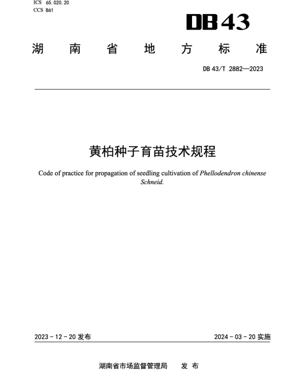 DB43T 2882-2023 黄柏种子育苗技术规程