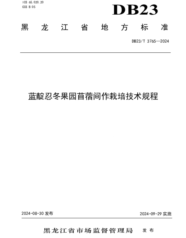 DB23T 3765—2024 蓝靛忍冬果园苜蓿间作栽培技术规程