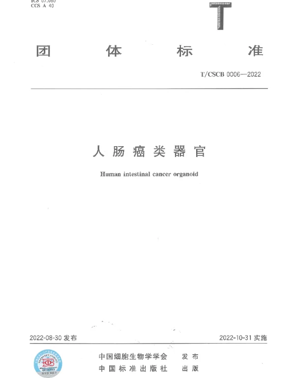 TCSCB 0006-2022 人肠癌类器官