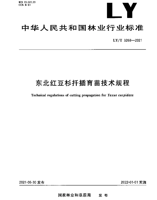 LYT 3268-2021 东北红豆杉扦插育苗技术规程