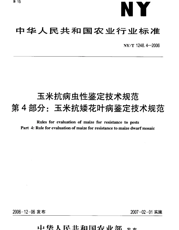 NYT 1248.4-2006 玉米抗病虫性鉴定技术规范.第4部分：玉米抗矮花叶病鉴定技术规范