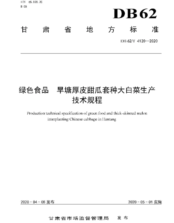 DB62T 4120-2020 绿色食品 旱塘厚皮甜瓜套种大白菜生产技术规程