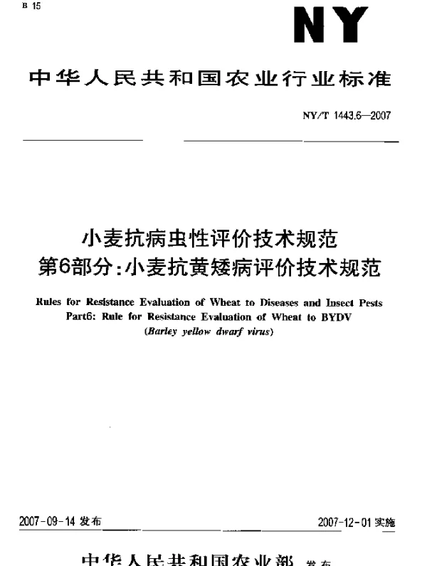 NYT 1443.6-2007 小麦抗病虫性评价技术规范 第6部分：小麦抗黄矮病评价技术规范