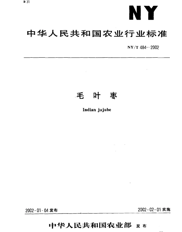 NYT 484-2002 毛叶枣