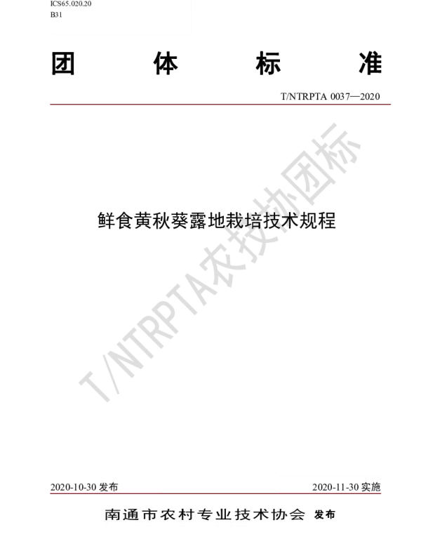 TNTRPTA 0037-2020 鲜食黄秋葵露地栽培技术规程