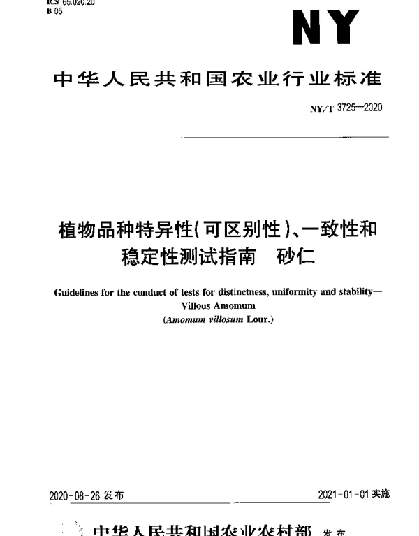 NYT 3725-2020 植物品种特异性（可区别性）、一致性和稳定性测试指南 砂仁