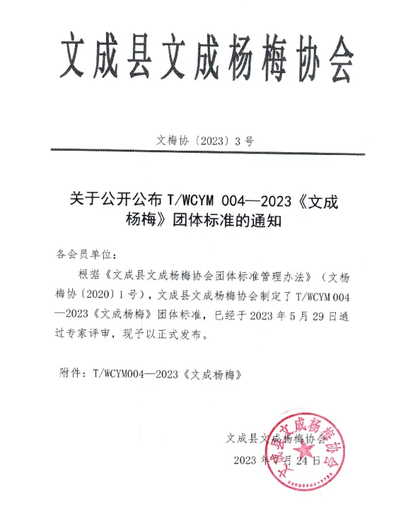 TWCYM 004-2023 文成杨梅