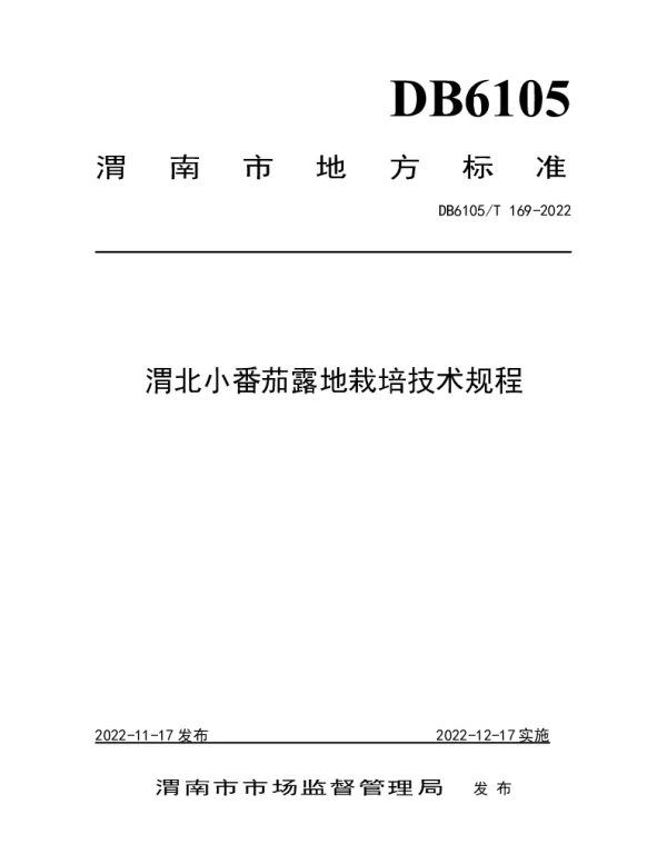 DB6105T 169-2022 渭北小番茄露地栽培技术规程