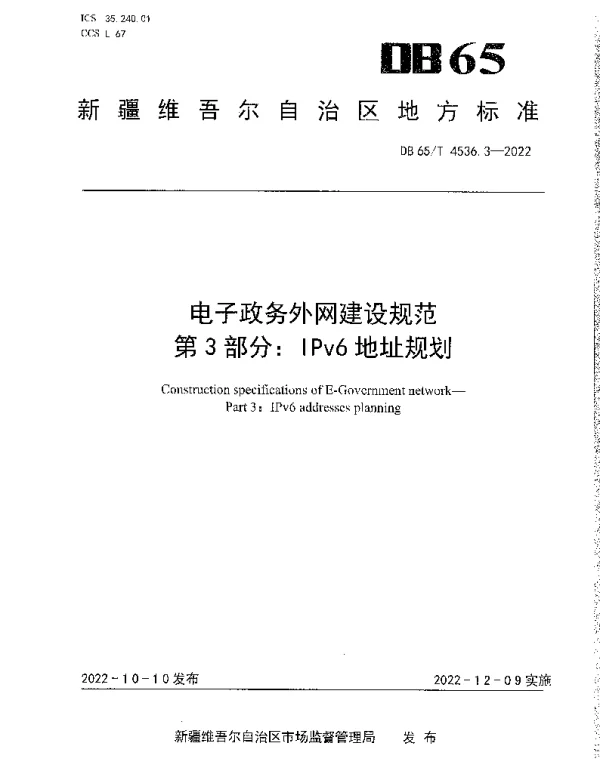 DB65T 4536.3—2022 电子政务外网建设规范第3部分：IPv6地址规划
