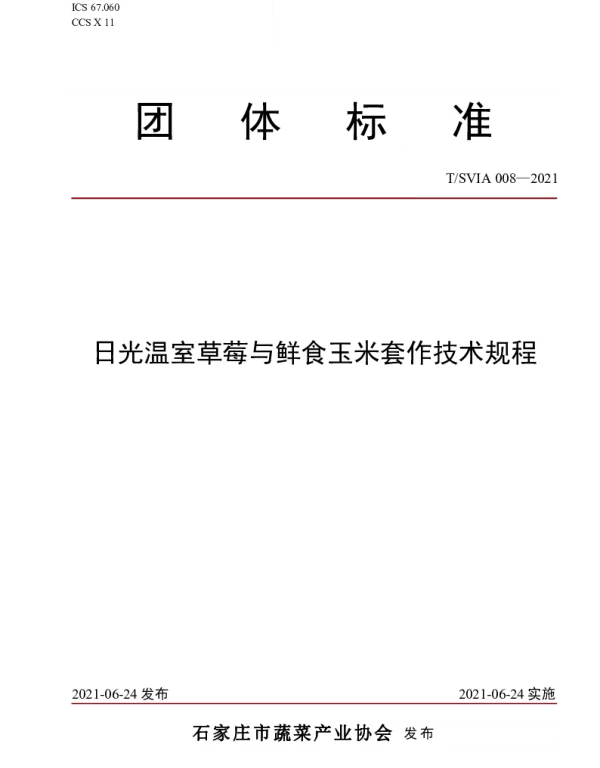 TSVIA 008-2021 日光温室草莓与鲜食玉米套作技术规程