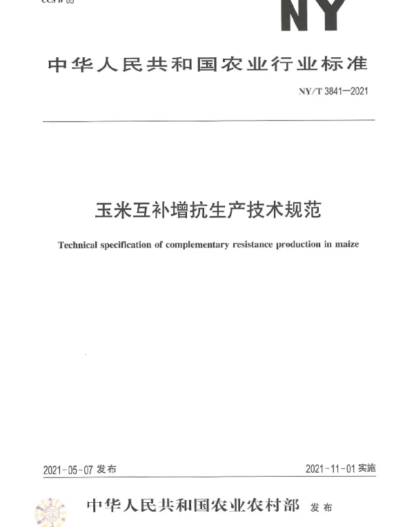 NYT 3841-2021 玉米互补增抗生产技术规范