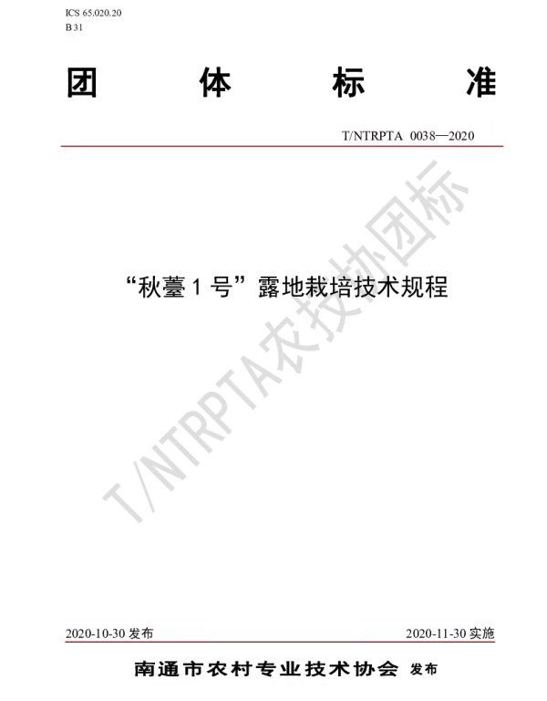 TNTRPTA 0038-2020 “秋薹1号”露地栽培技术规程