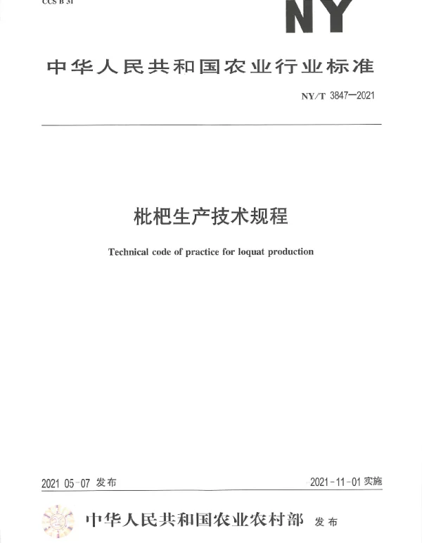 NYT 3847-2021 枇杷生产技术规程