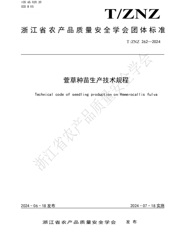 TZNZ 262-2024 萱草种苗生产技术规程