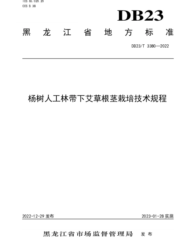 DB23T 3380—2022 杨树人工林带下艾草根茎栽培技术规程