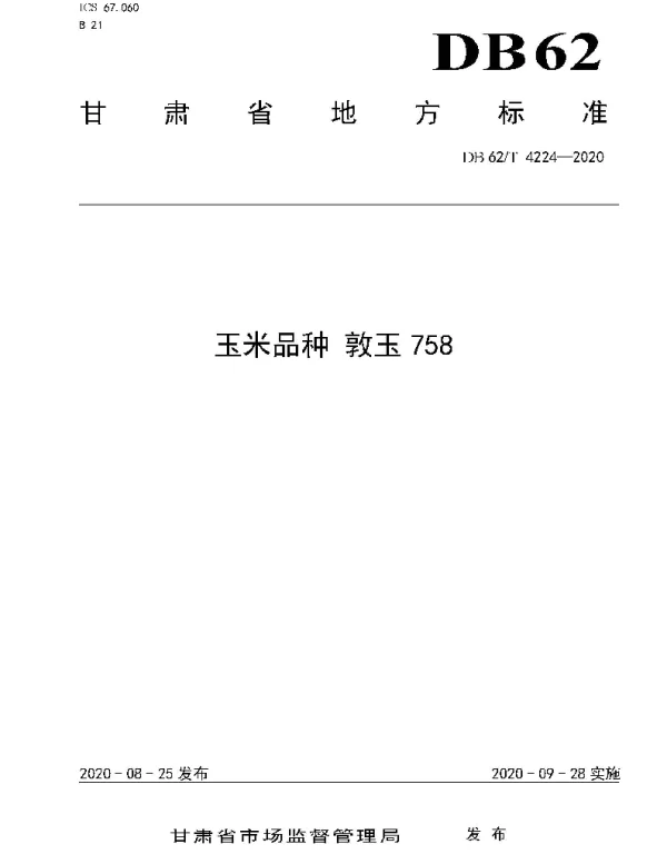 DB62T 4224-2020 玉米品种 敦玉758