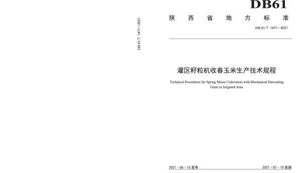 DB61T 1471-2021 灌区籽粒机收春玉米生产技术规程