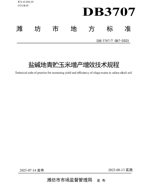 DB3707T 087-2023 盐碱地青贮玉米增产增效技术规程