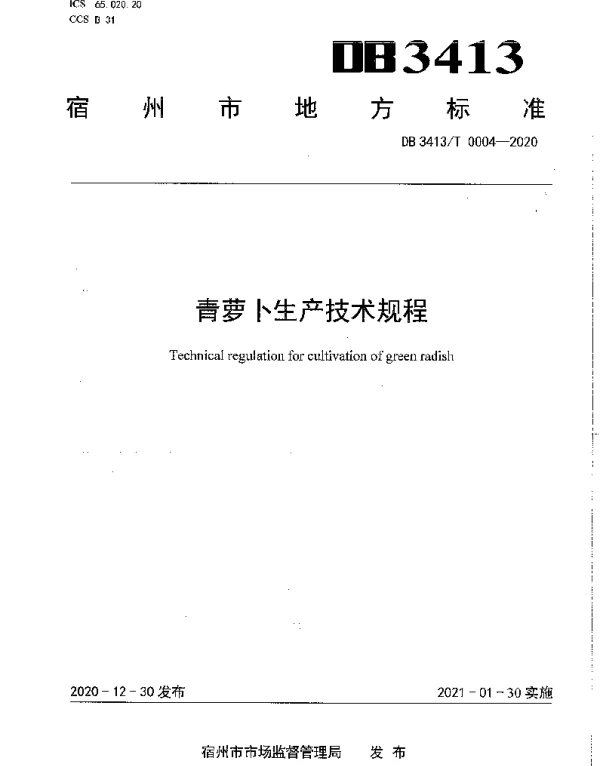 DB3413T0004---2020 青萝卜生产技术规程
