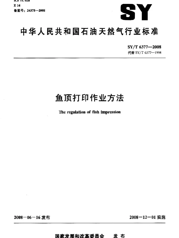 SYT 6377-2008 鱼顶打印作业方法