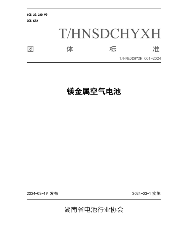 THNSDCHYXH 001-2024 镁金属空气电池