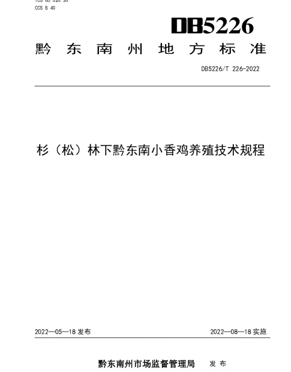 DB5226T 226-2022 杉（松）林下黔东南小香鸡养殖技术规程