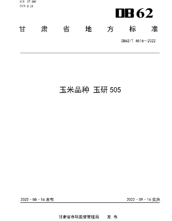 DB62T 4616-2022 玉米品种 玉研505