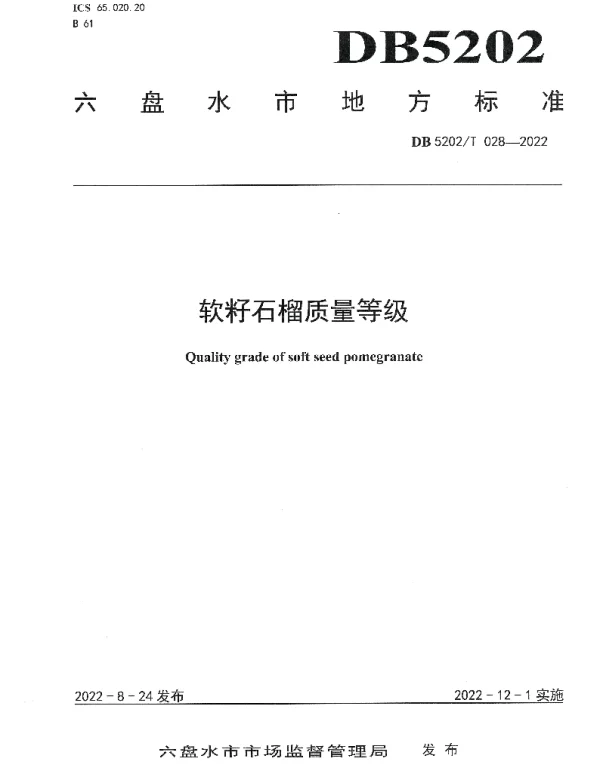 DB5202T028-2022 软籽石榴质量等级