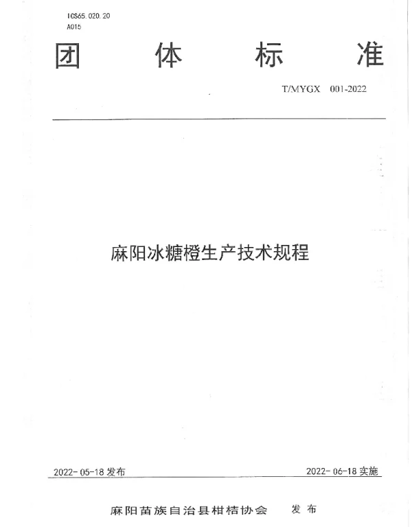 TMYGX 001-2022 麻阳冰糖橙生产技术规程