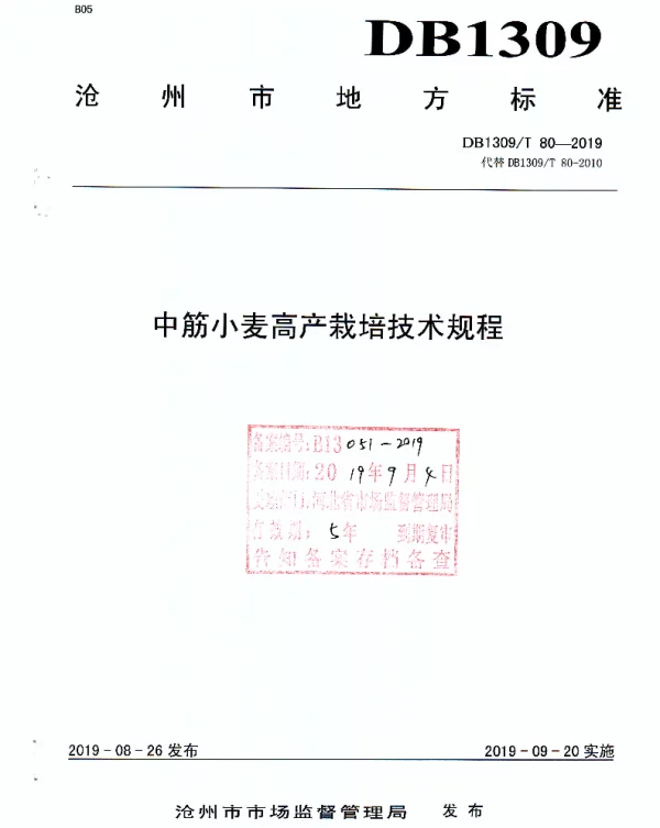 DB1309T 80-2019 中筋小麦高产栽培技术规程