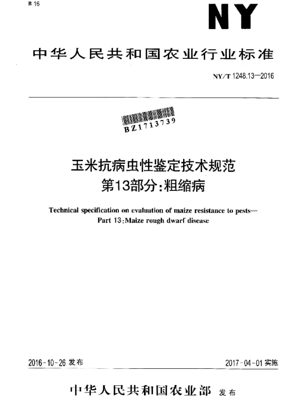 NYT 1248.13-2016 玉米抗病虫性鉴定技术规范 第13部分：粗缩病