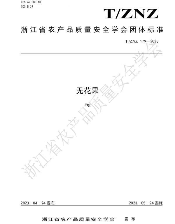 TZNZ 179-2023 无花果