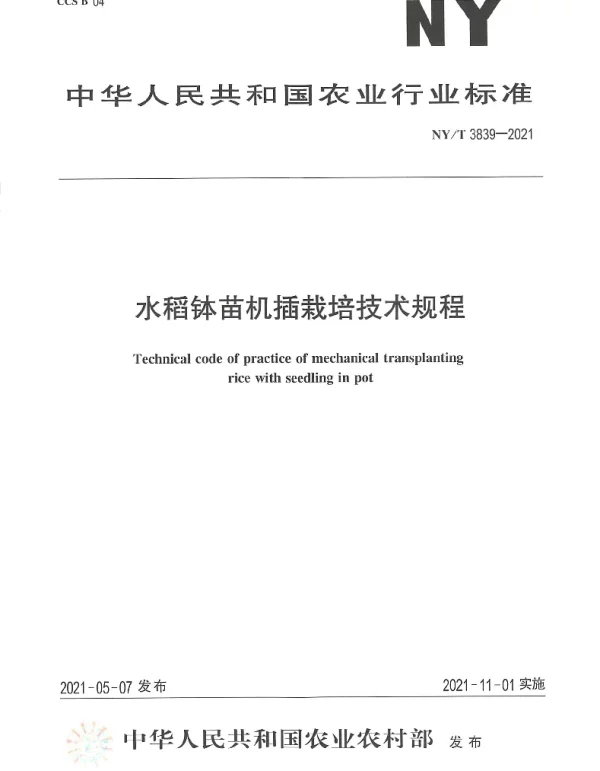 NYT 3839-2021 水稻钵苗机插栽培技术规程