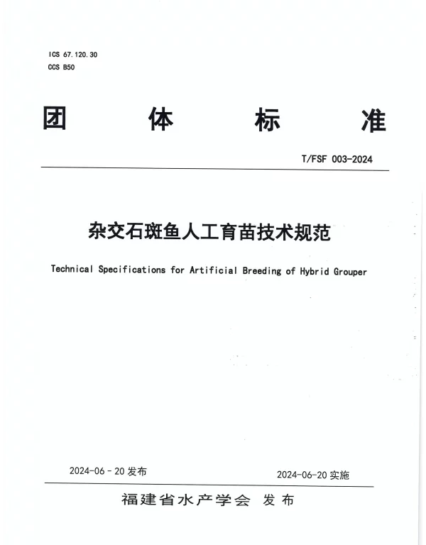 TFSF 003-2024 杂交石斑鱼人工育苗技术规范