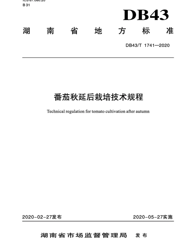 DB43T 1741-2020 番茄秋延后栽培技术规程