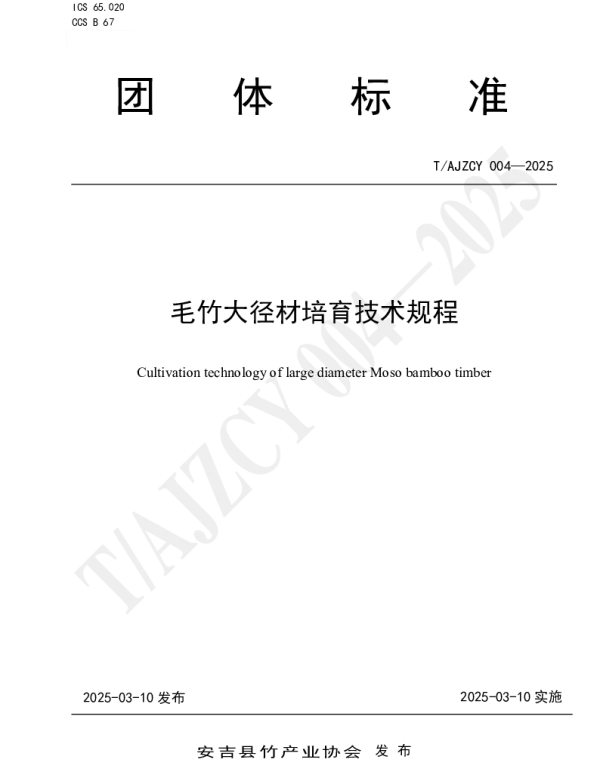 TAJZCY 004-2025 毛竹大径材培育技术规程