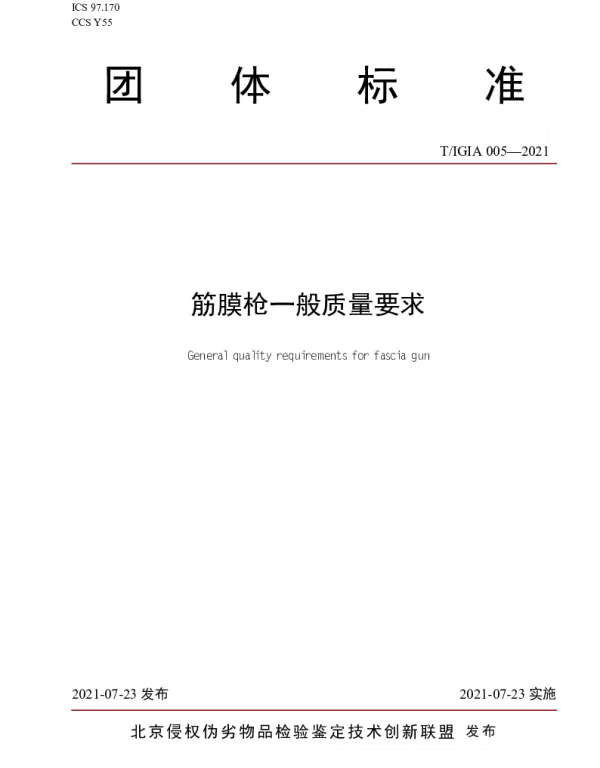 TIGIA 005-2021 筋膜枪一般质量要求