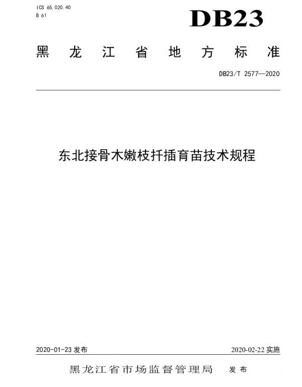 DB23T 2577-2020 东北接骨木嫩枝扦插育苗技术规程