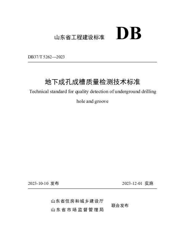 DB37T 5262-2023 《地下成孔成槽质量检测技术标准》