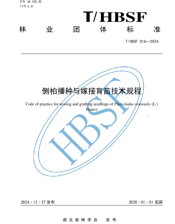 THBSF 016-2024 侧柏播种与嫁接育苗技术规程