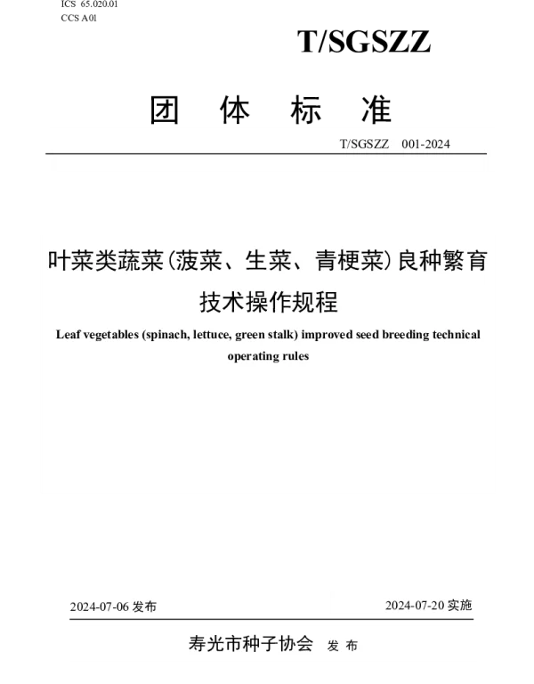 TSGSZZ 001-2024 叶菜类蔬菜(菠菜、生菜、青梗菜)良种繁育技术操作规程