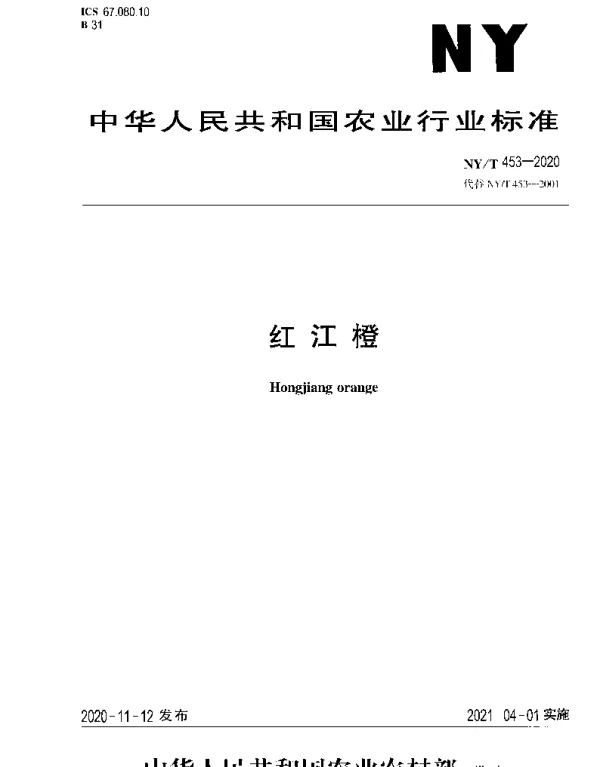 NYT 453-2020 红江橙