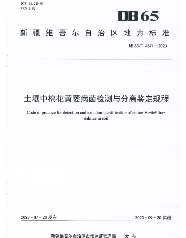DB65T 4671-2023 土壤中棉花黄萎病菌检测与分离鉴定规程
