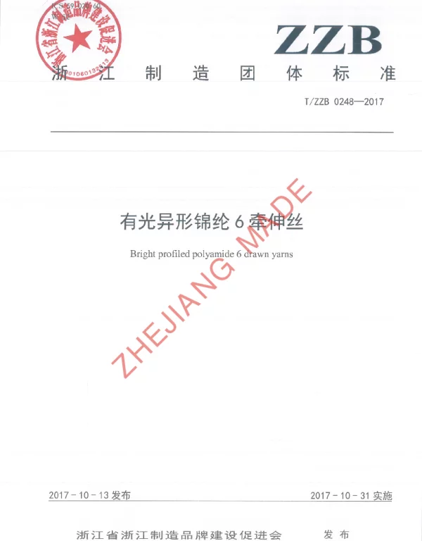TZZB 0248-2017 有光异形锦纶6牵伸丝