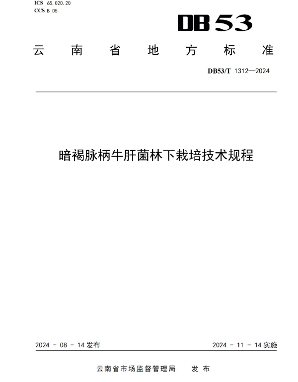 DB53T 1312-2024 暗褐脉柄牛肝菌林下栽培技术规程