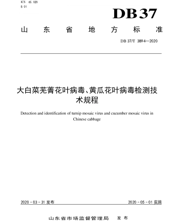 DB37T 3894—2020 大白菜芜菁花叶病毒、黄瓜花叶病毒检测技术规程